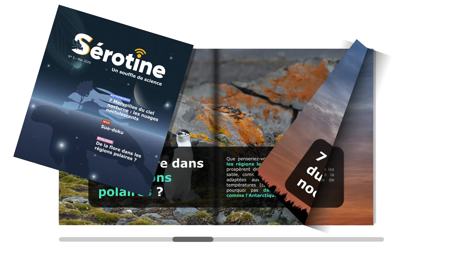 Sérotine